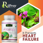 Riffway Punarnava Good For Liver 60 Capsules In Pakistan